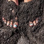 610170d2-99eb-4936-9866-4f50d021df21