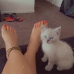 e2fca11e-9d7d-4fe5-831a-792e96a5c4fb