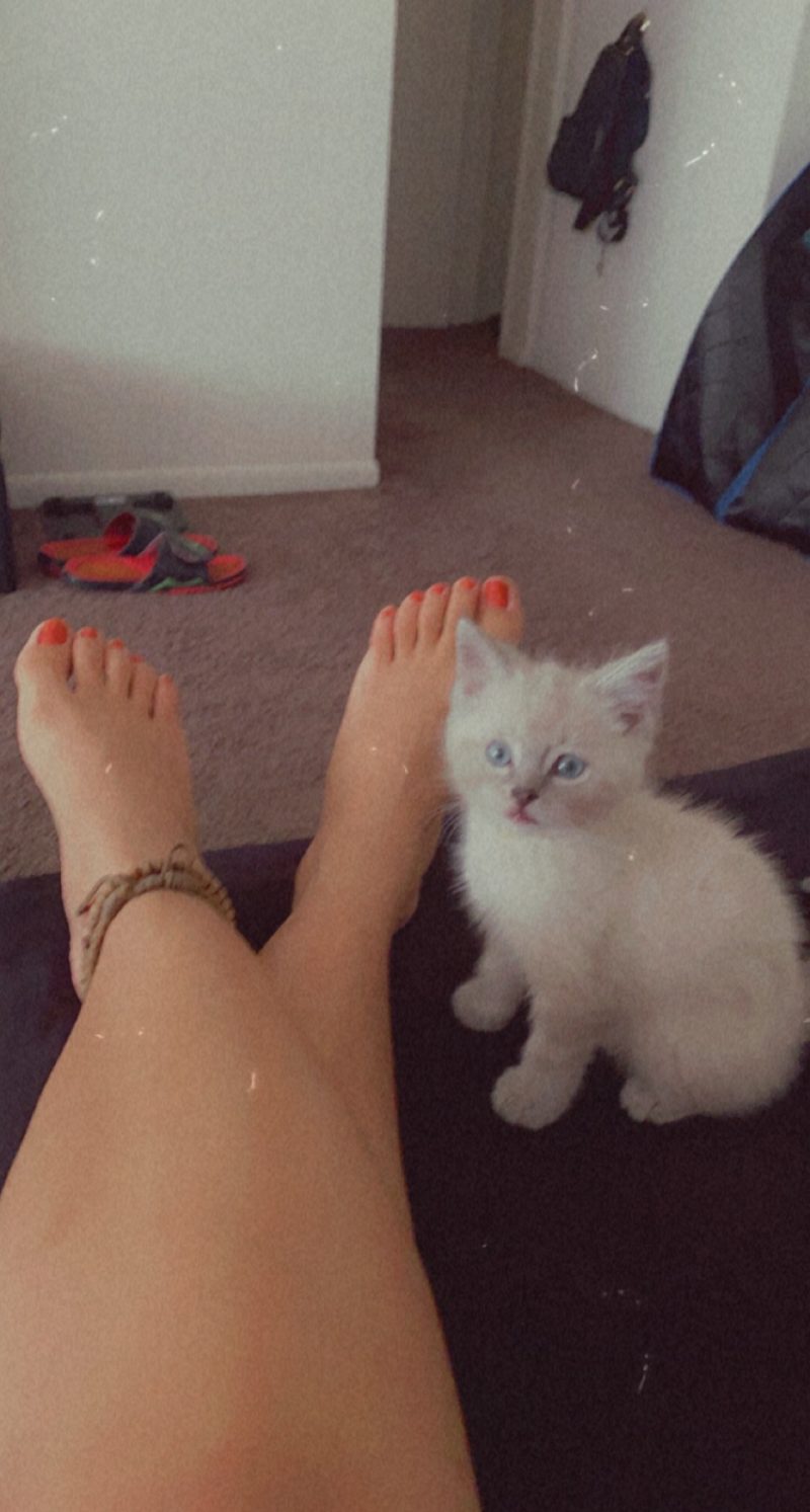 e2fca11e-9d7d-4fe5-831a-792e96a5c4fb