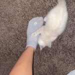 fe96d4af-6efb-4a36-95a3-7b839663d62f