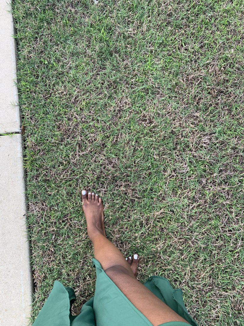 5a5120ca-8154-453c-8bfd-03e5f99ad030