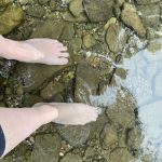 9c5ac1b3-1443-42e6-862a-8c88515436a7