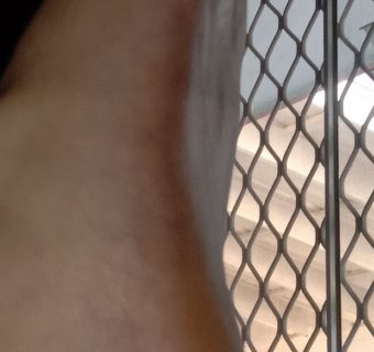 232275358_2862391807355650_3351140836744105237_n