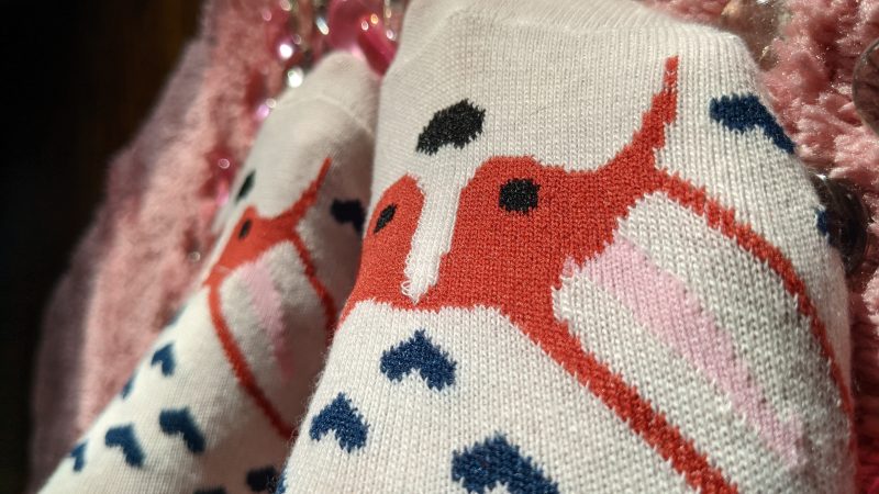 pxl_20211030_190700906