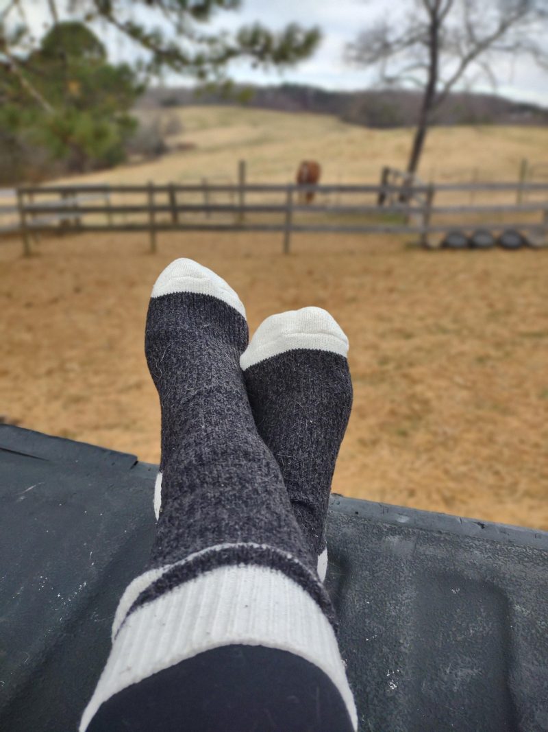 img_20211209_142212999_portrait