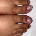 ab03c3e6-7c81-4c75-b6dd-4cf94c4afb7b