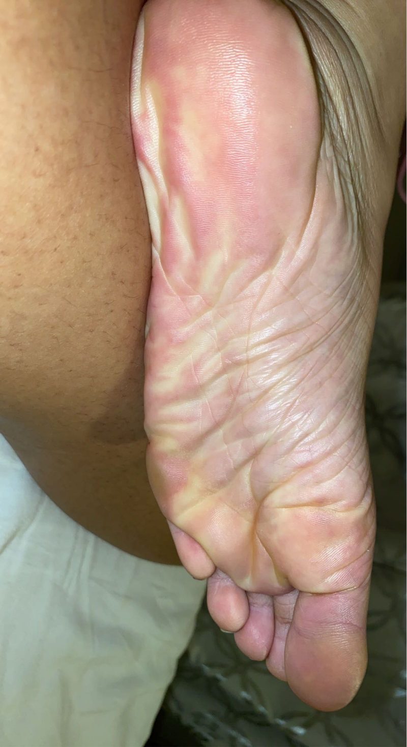 d8c2dbcc-6d06-49fa-888d-ed2624755ea9