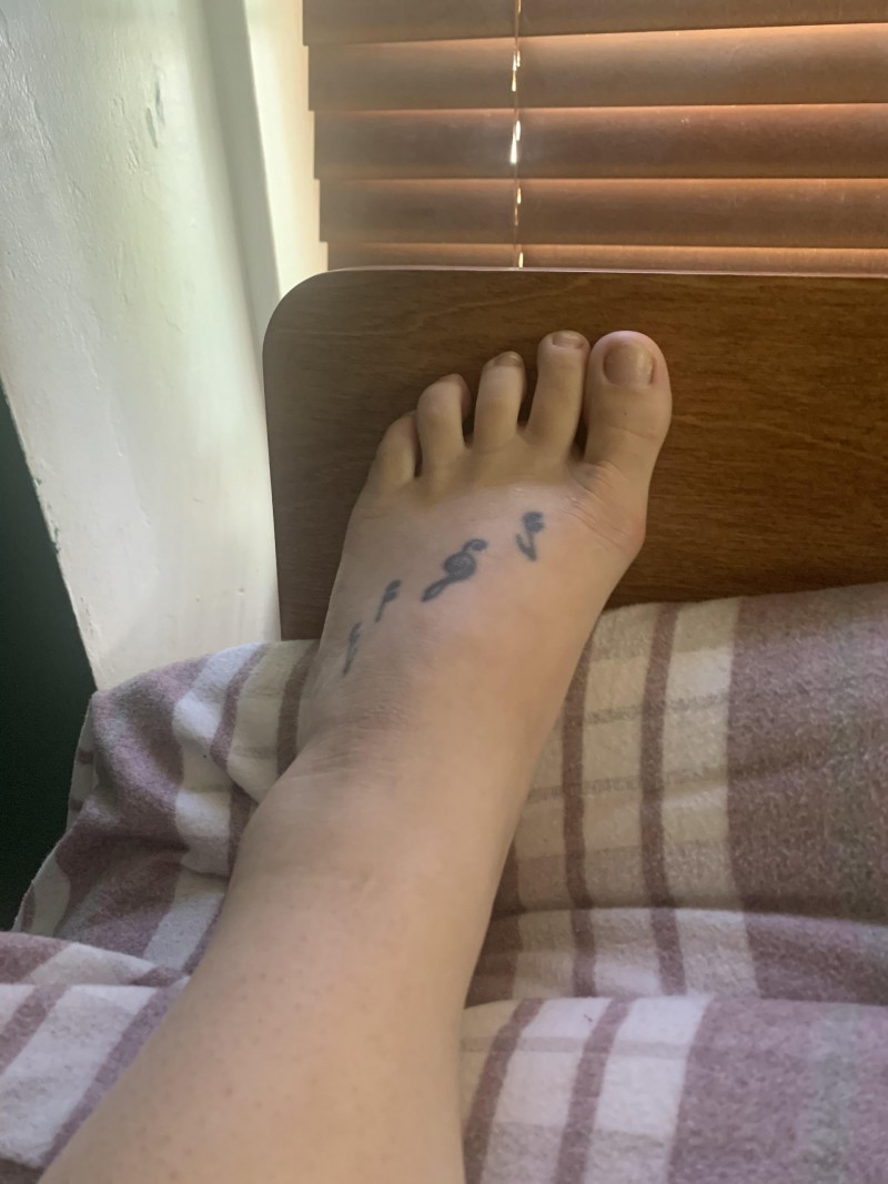 another-lounging-day