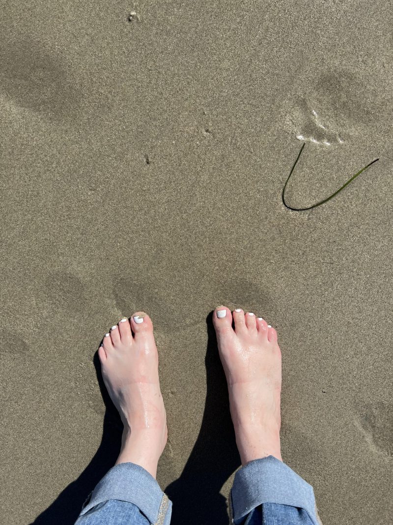 d98241f8-cdb1-4763-bfb5-92c7369357bd