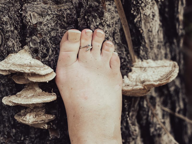 46fc457e-b799-4815-a87c-2098b676554b