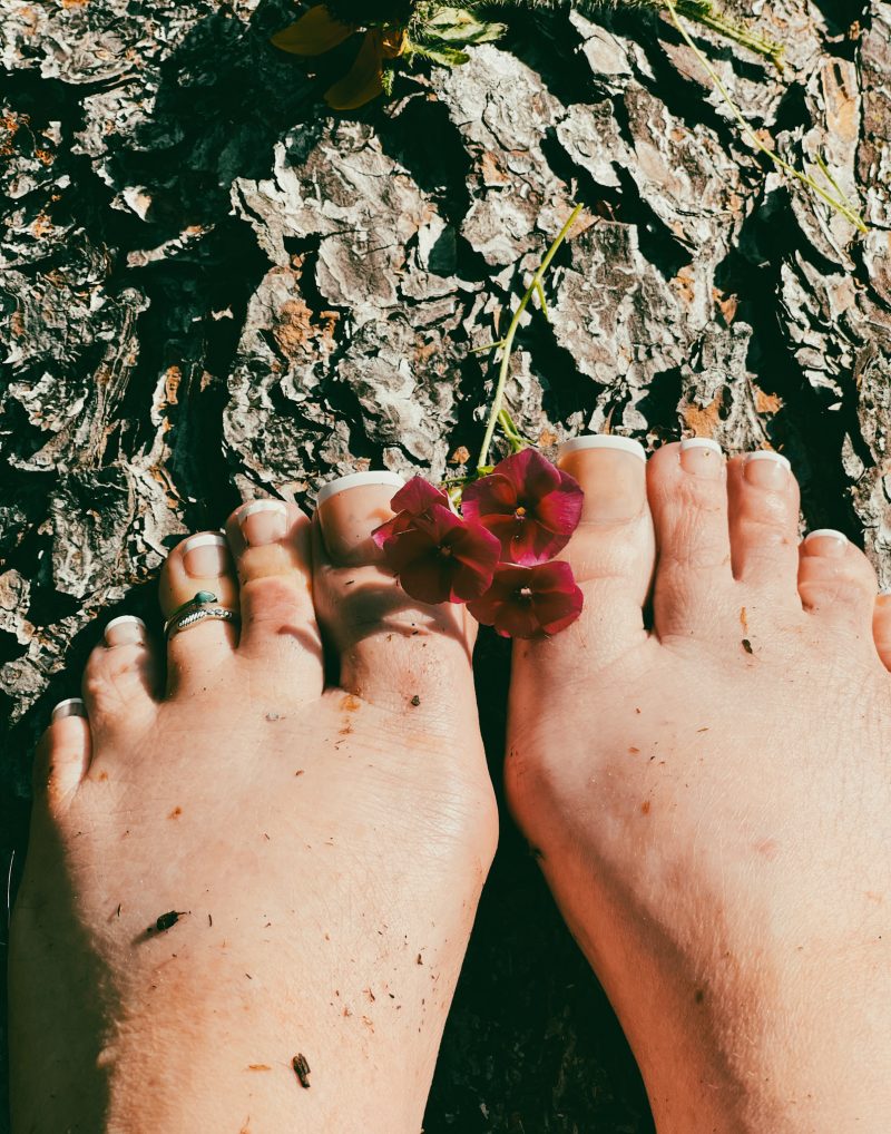 6c026033-ce8a-4394-a31e-7f9bba1c189d