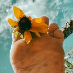 80424763-4ebb-4649-acb4-5c9052da51c1