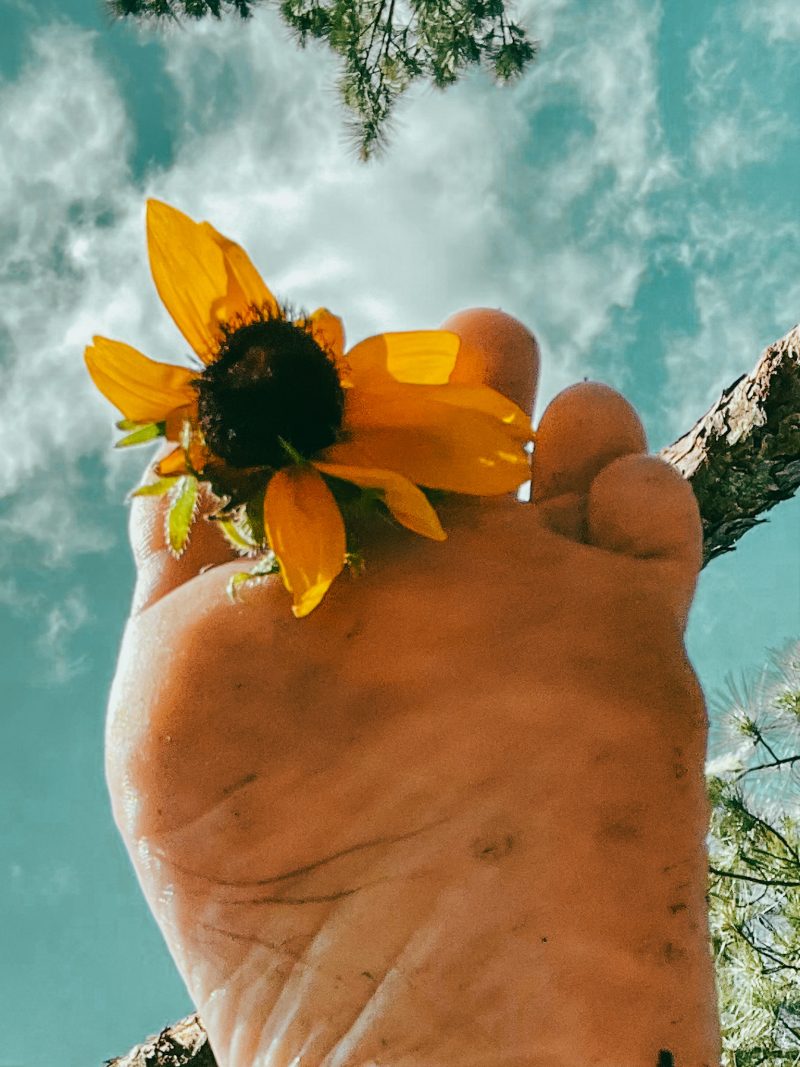 80424763-4ebb-4649-acb4-5c9052da51c1