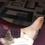 104173318_2976561252392347_4951912125147622002_n