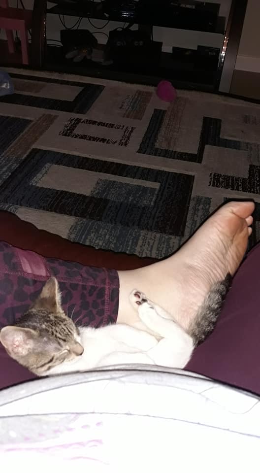 104173318_2976561252392347_4951912125147622002_n