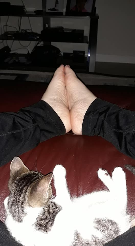 104329687_2976561142392358_6128446766321011671_n