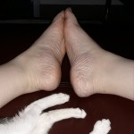 106240734_2993427020705770_7778113553217591482_o