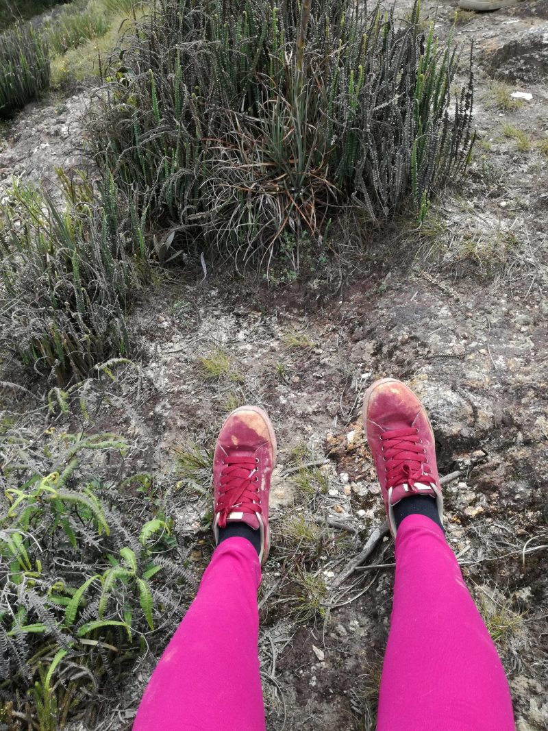 going-for-a-walk-to-get-dirty