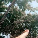 db64a010-430b-49f7-9e90-f4011900e765