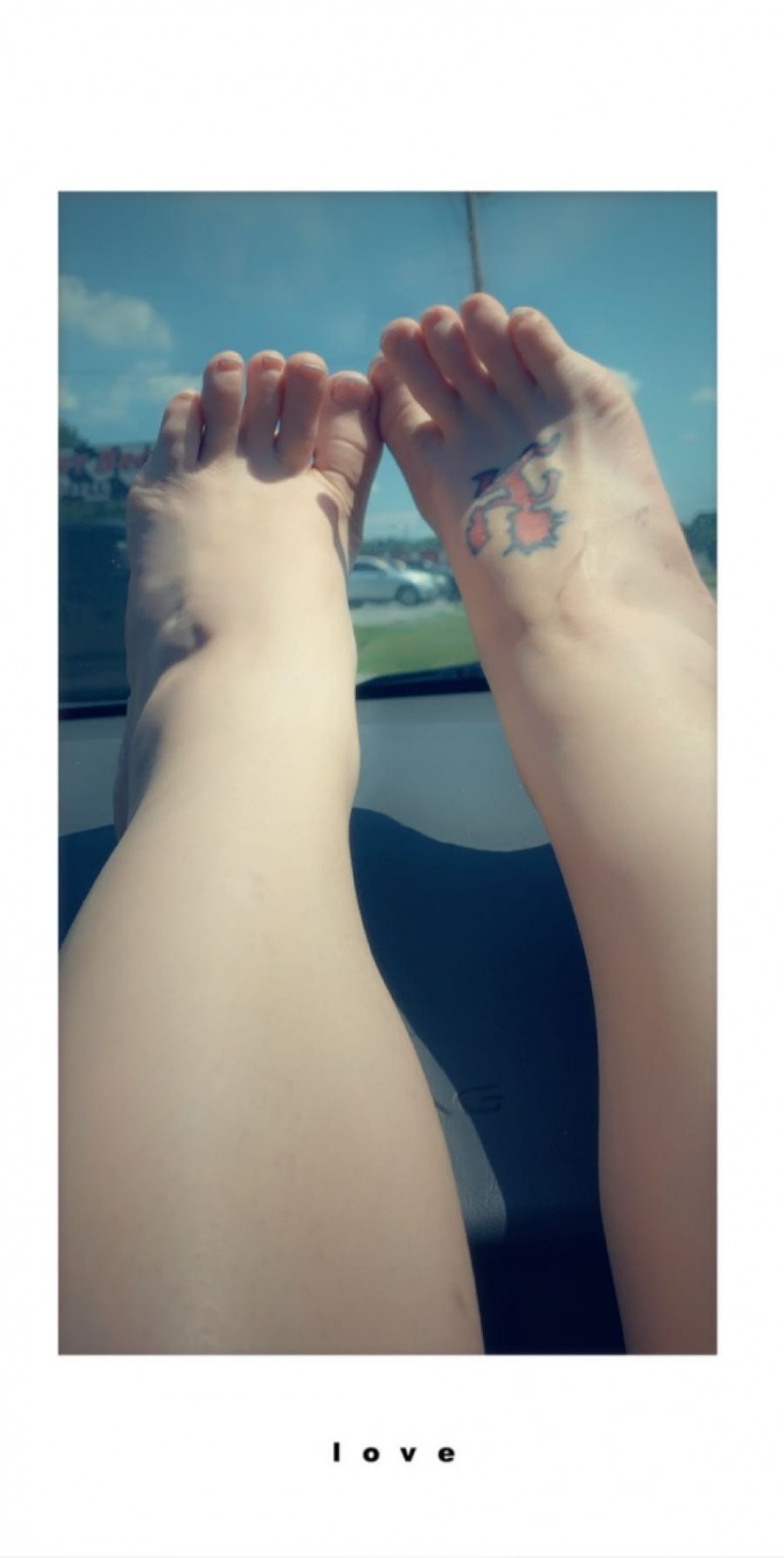 95d6e5c2-8661-4ad3-a535-faf70f67d702