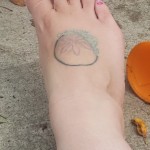 img_20200628_134918_945