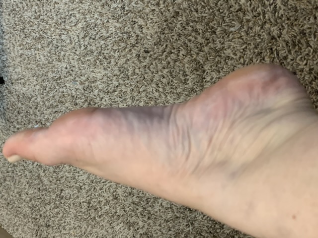 88cbc047-be83-454d-a1f6-6bcffed46235