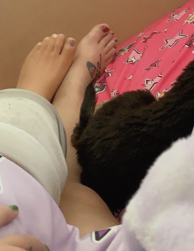 14cbed81-8bc0-4cbe-9f06-746a20fce492