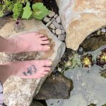 6129d081-a6d8-4a88-85df-3309c6620aa9