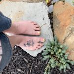 66fced42-73ca-4229-9145-4489b83bc894