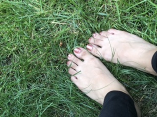 mis-pies