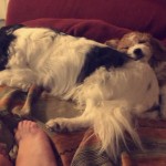 20200319_181737076_ios