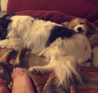 20200319_181737076_iOS