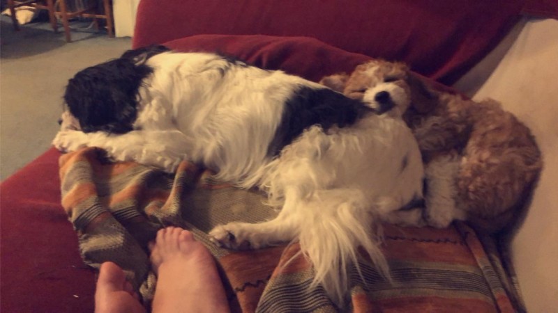 20200319_181737076_ios