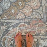 mosaic-crop-wm