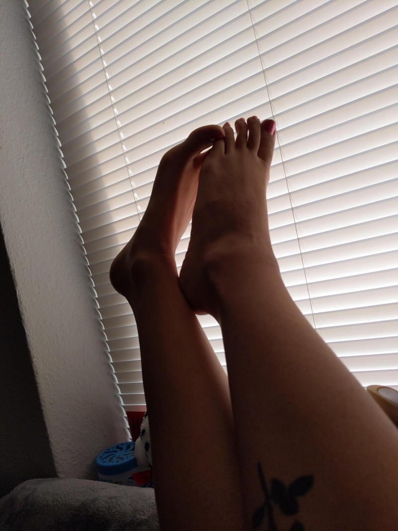 15942988464012818291025776492988