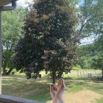beautiful-day-beautiful-feet