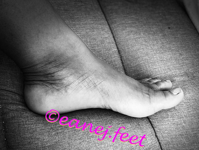 ec2059fe-17fb-4c37-843b-fcae742d30d4