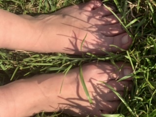 8a81eb92-fa41-4a3d-b2fe-d98998feac14