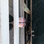 f543c48b-89cf-4995-979a-432a7bd87715