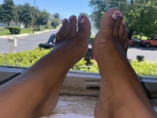 Tootsies enjoying the view 