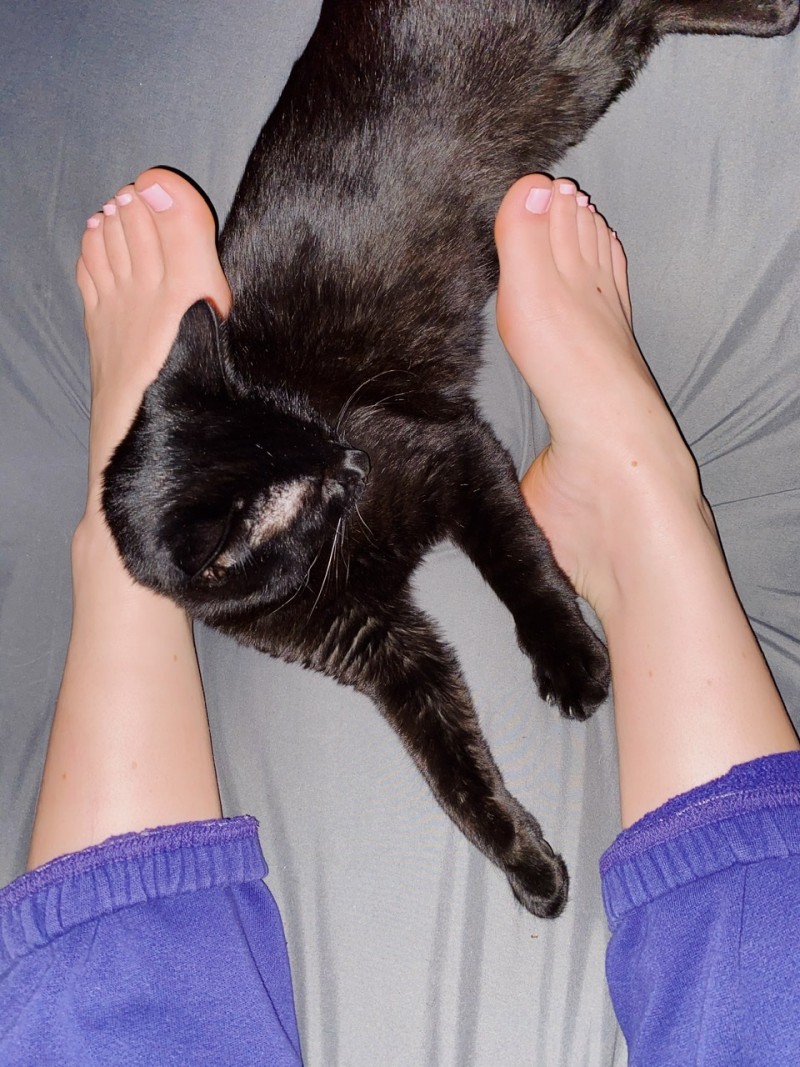 62fd3a09-9bd6-4e6d-a23d-907ba60d8ab1