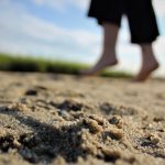 img_0229-2