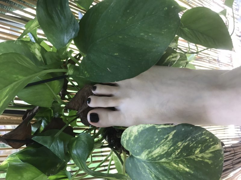 nature-at-its-finest