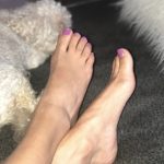 ac7aa411-9c42-4fde-adcc-9246e924270f