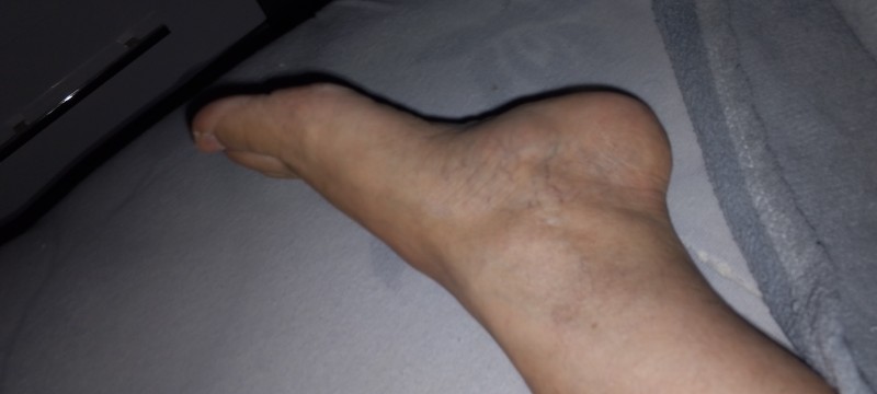 17614729888208875350086207847485