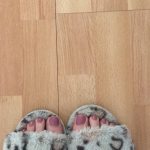 6c81e8e2-9f70-491f-a197-4a0b4b9706bb