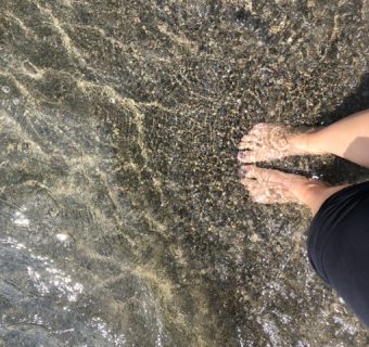 4AB7FEEE-507F-4A43-AA32-24E9078BE9DD