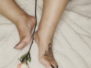 Will you be my Valentines?